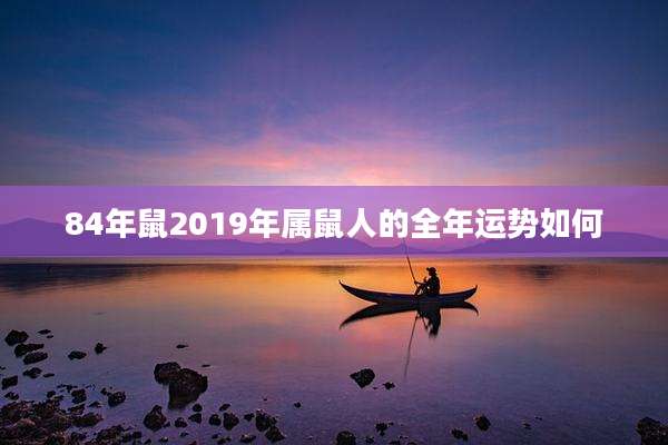 84年鼠2019年属鼠人的全年运势如何