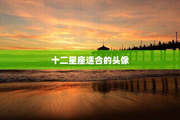 十二星座适合的头像