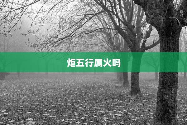 炬五行属火吗
