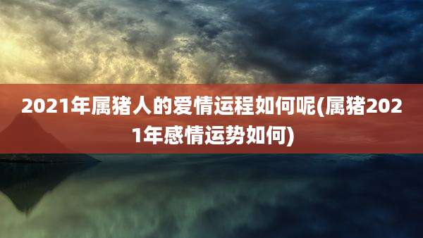 2021年属猪人的爱情运程如何呢(属猪2021年感情运势如何)