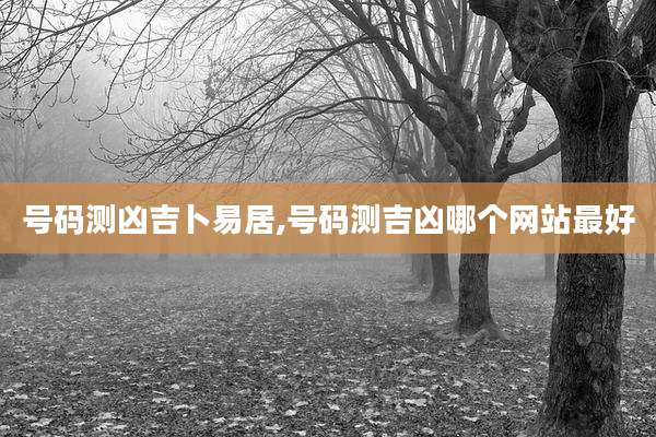 号码测凶吉卜易居,号码测吉凶哪个网站最好