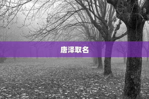 唐泽取名