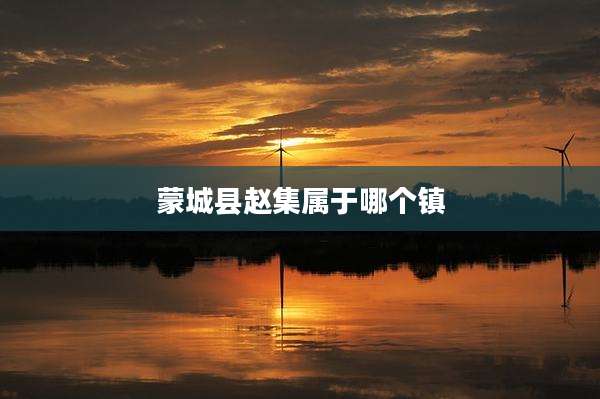 蒙城县赵集属于哪个镇