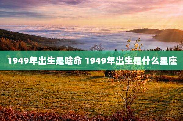 1949年出生是啥命 1949年出生是什么星座