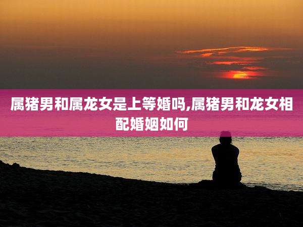属猪男和属龙女是上等婚吗,属猪男和龙女相配婚姻如何