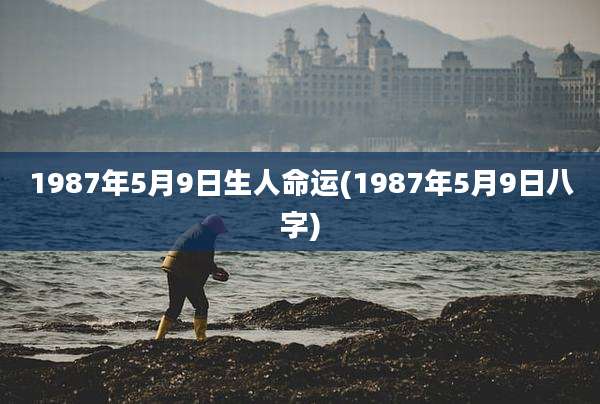 1987年5月9日生人命运(1987年5月9日八字)