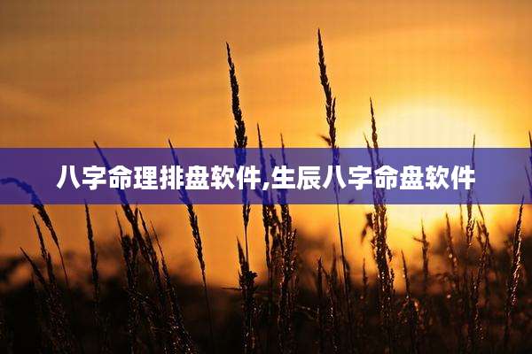 八字命理排盘软件,生辰八字命盘软件
