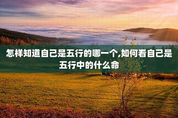 怎样知道自己是五行的哪一个,如何看自己是五行中的什么命