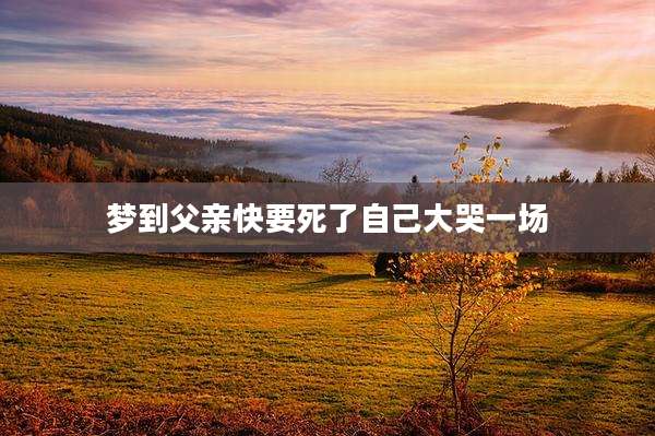 梦到父亲快要死了自己大哭一场