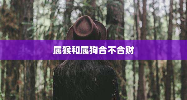 属猴和属狗合不合财