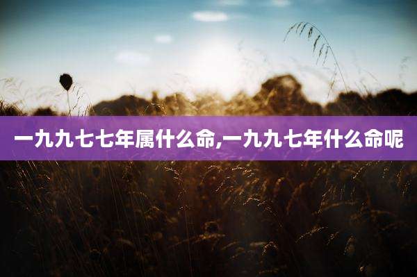 一九九七七年属什么命,一九九七年什么命呢