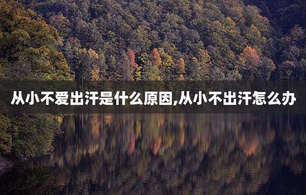从小不爱出汗是什么原因,从小不出汗怎么办