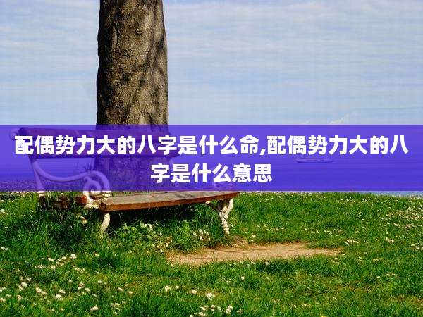 配偶势力大的八字是什么命,配偶势力大的八字是什么意思