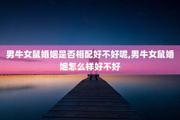男牛女鼠婚姻是否相配好不好呢,男牛女鼠婚姻怎么样好不好