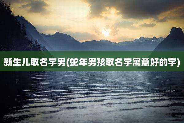 新生儿取名字男(蛇年男孩取名字寓意好的字)