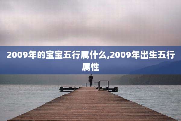 2009年的宝宝五行属什么,2009年出生五行属性