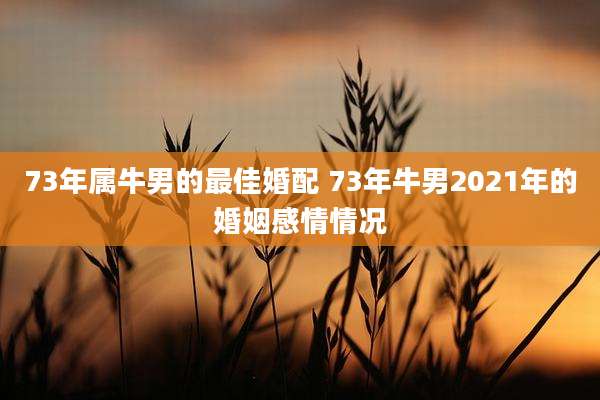 73年属牛男的最佳婚配 73年牛男2021年的婚姻感情情况
