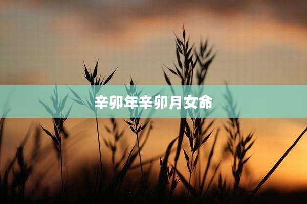辛卯年辛卯月女命