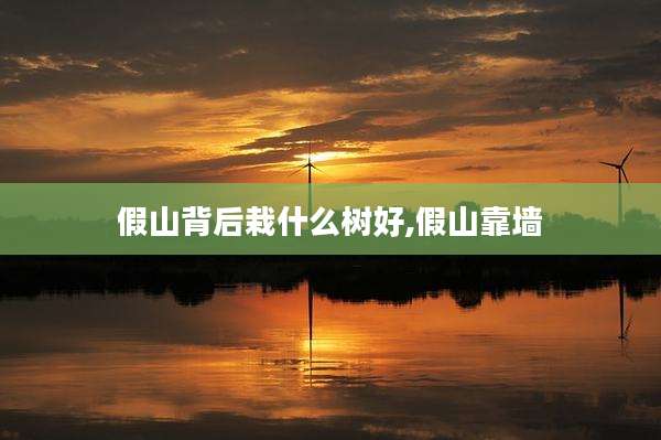 假山背后栽什么树好,假山靠墙