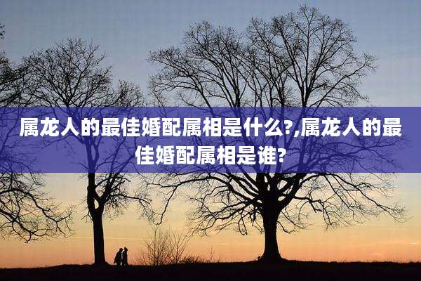 属龙人的最佳婚配属相是什么?,属龙人的最佳婚配属相是谁?