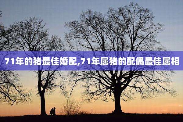 71年的猪最佳婚配,71年属猪的配偶最佳属相