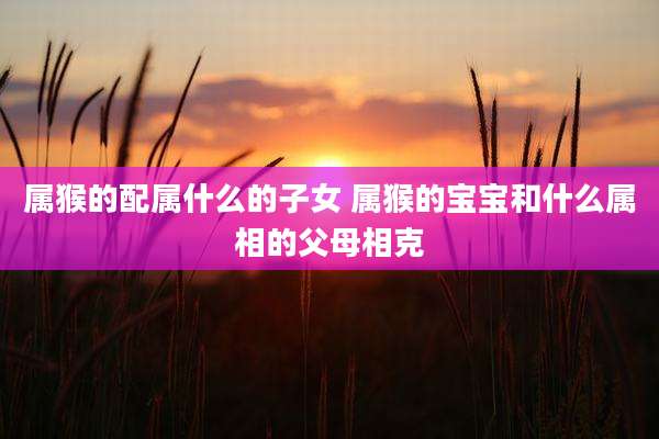 属猴的配属什么的子女 属猴的宝宝和什么属相的父母相克