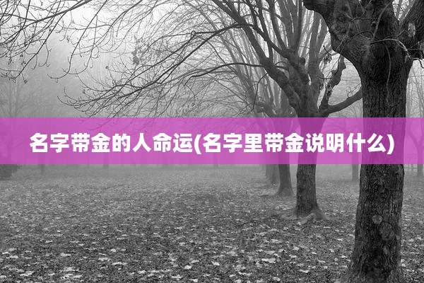 名字带金的人命运(名字里带金说明什么)