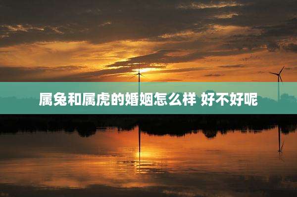 属兔和属虎的婚姻怎么样 好不好呢