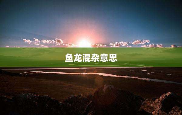 鱼龙混杂意思