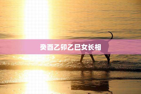 癸酉乙卯乙巳女长相