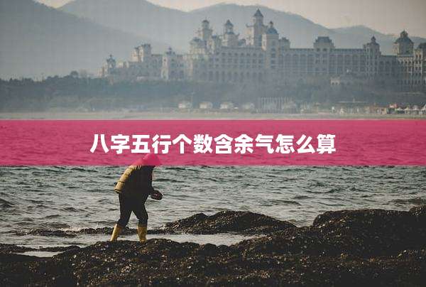 八字五行个数含余气怎么算