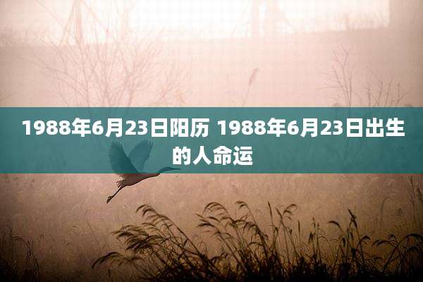 1988年6月23日阳历 1988年6月23日出生的人命运