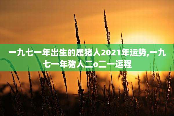 一九七一年出生的属猪人2021年运势,一九七一年猪人二o二一运程