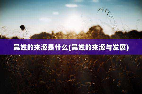 吴姓的来源是什么(吴姓的来源与发展)