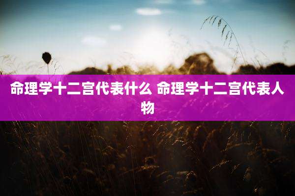 命理学十二宫代表什么 命理学十二宫代表人物
