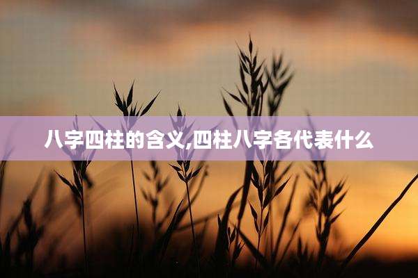 八字四柱的含义,四柱八字各代表什么