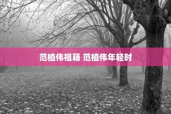 范植伟祖籍 范植伟年轻时