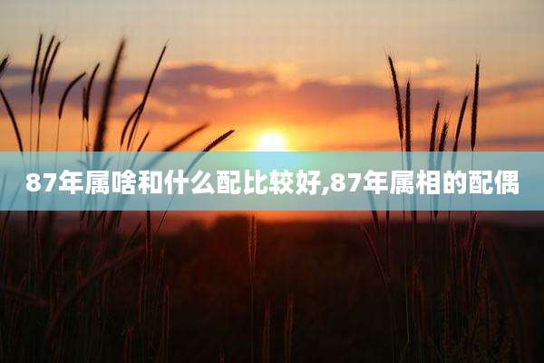 87年属啥和什么配比较好,87年属相的配偶
