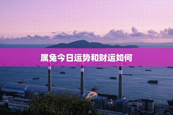 属兔今日运势和财运如何