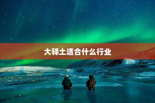 大驿土适合什么行业