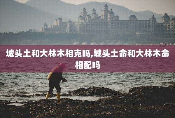 城头土和大林木相克吗,城头土命和大林木命相配吗