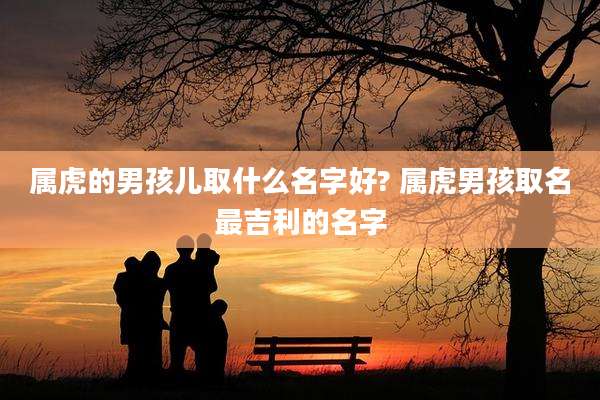 属虎的男孩儿取什么名字好? 属虎男孩取名最吉利的名字