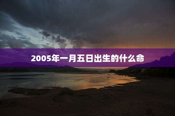 2005年一月五日出生的什么命