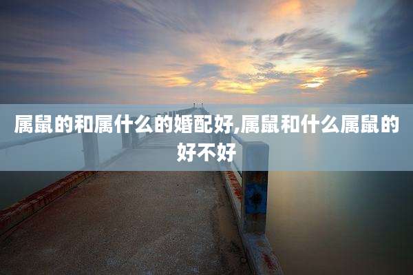 属鼠的和属什么的婚配好,属鼠和什么属鼠的好不好