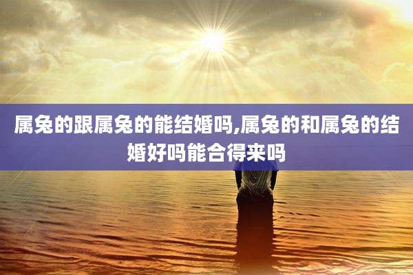 属兔的跟属兔的能结婚吗,属兔的和属兔的结婚好吗能合得来吗