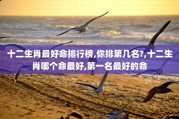 十二生肖最好命排行榜,你排第几名?,十二生肖哪个命最好,第一名最好的命