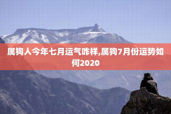 属狗人今年七月运气咋样,属狗7月份运势如何2020