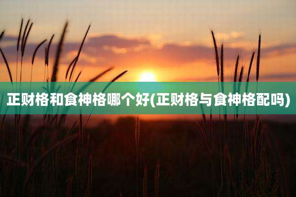 正财格和食神格哪个好(正财格与食神格配吗)