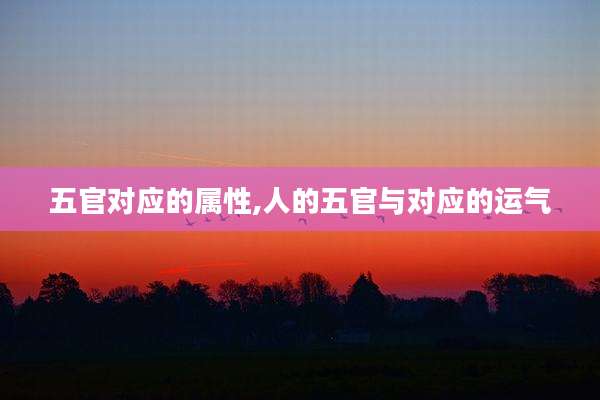 五官对应的属性,人的五官与对应的运气