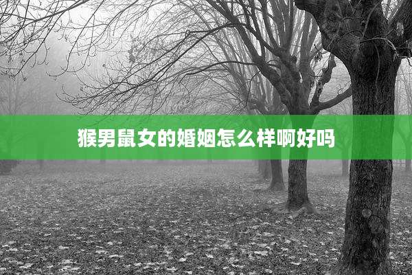 猴男鼠女的婚姻怎么样啊好吗